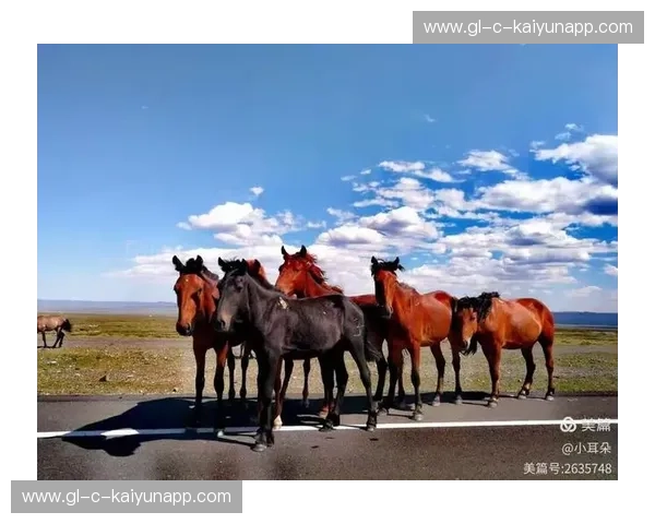 开云外网测速——提升全球网络体验的关键 开云外网测速——提升全球网络体验的关键