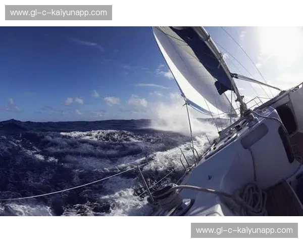 排名帆船：帮你乘风破浪的增长引擎